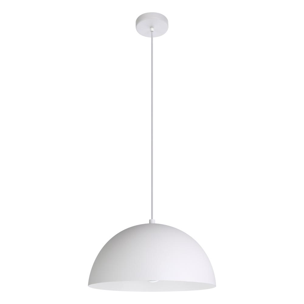 Rafaelino 1-Light Suspension