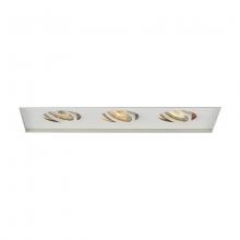 WAC Canada MT-316TL-WT - Low Voltage Multiple Invisible Two Light Trim