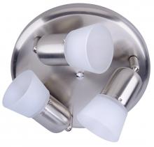 Canarm ICW5351 - Omni, Triple Head Ceiling/Wall, Frosted Glass, 60W A15 or R16