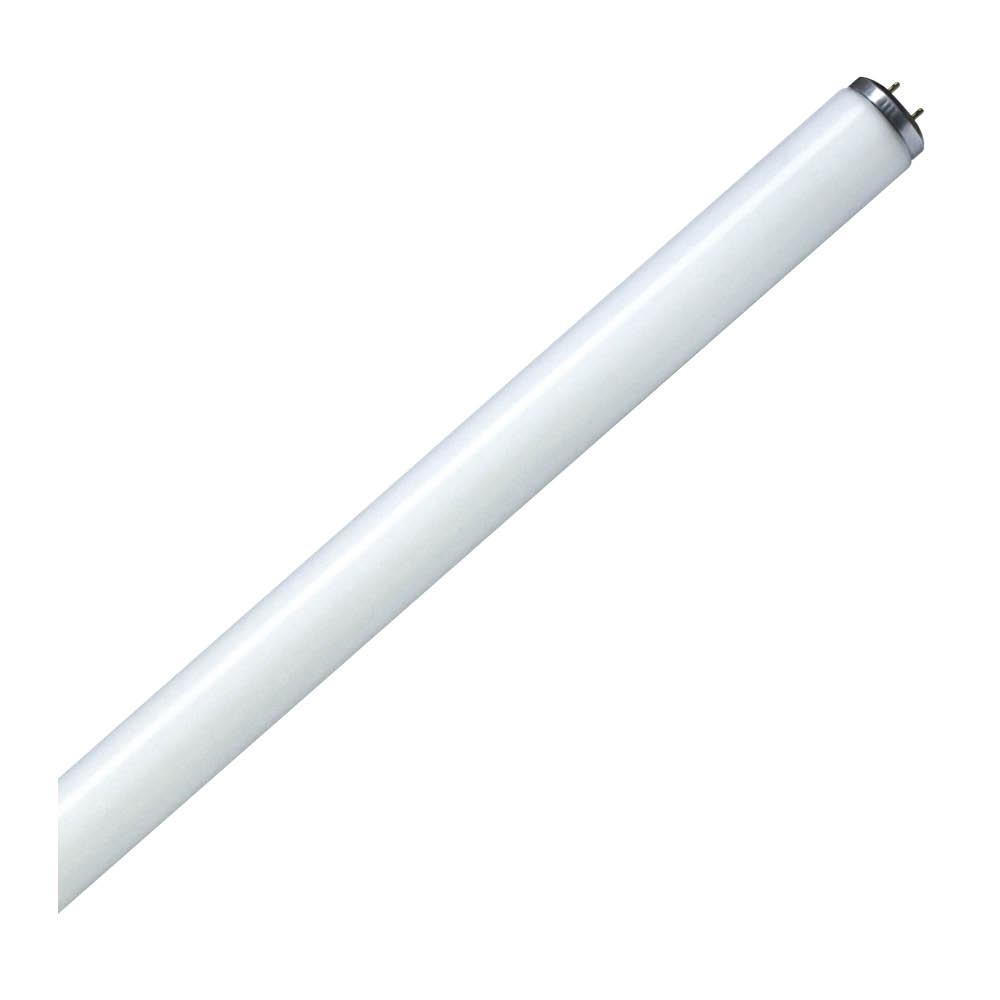 Fluorescent LINEAR T12 47.78IN Med Bipin Base 40W 6500K Program Start(PS) and Rapid Start(RS)