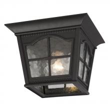 Galaxy Lighting 320389BK - 1-Light Outdoor Flush Mount Ceiling Lantern - Black with Clear Water Glass