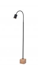 AFJ - Adesso 3966-01 - Rutherford LED Floor Lamp