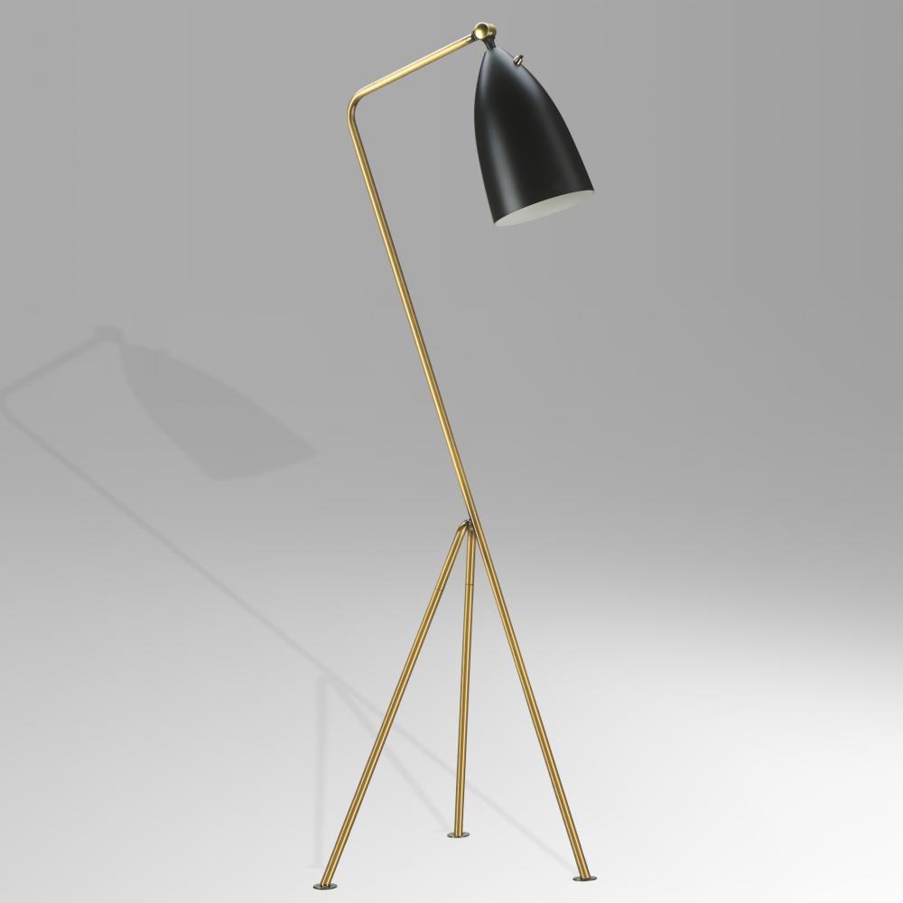 Black Floor Lamp