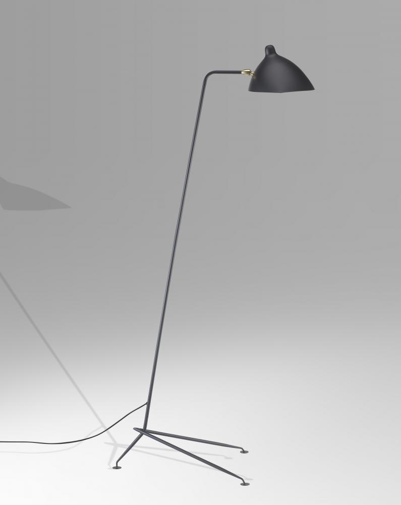 Black Floor Lamp