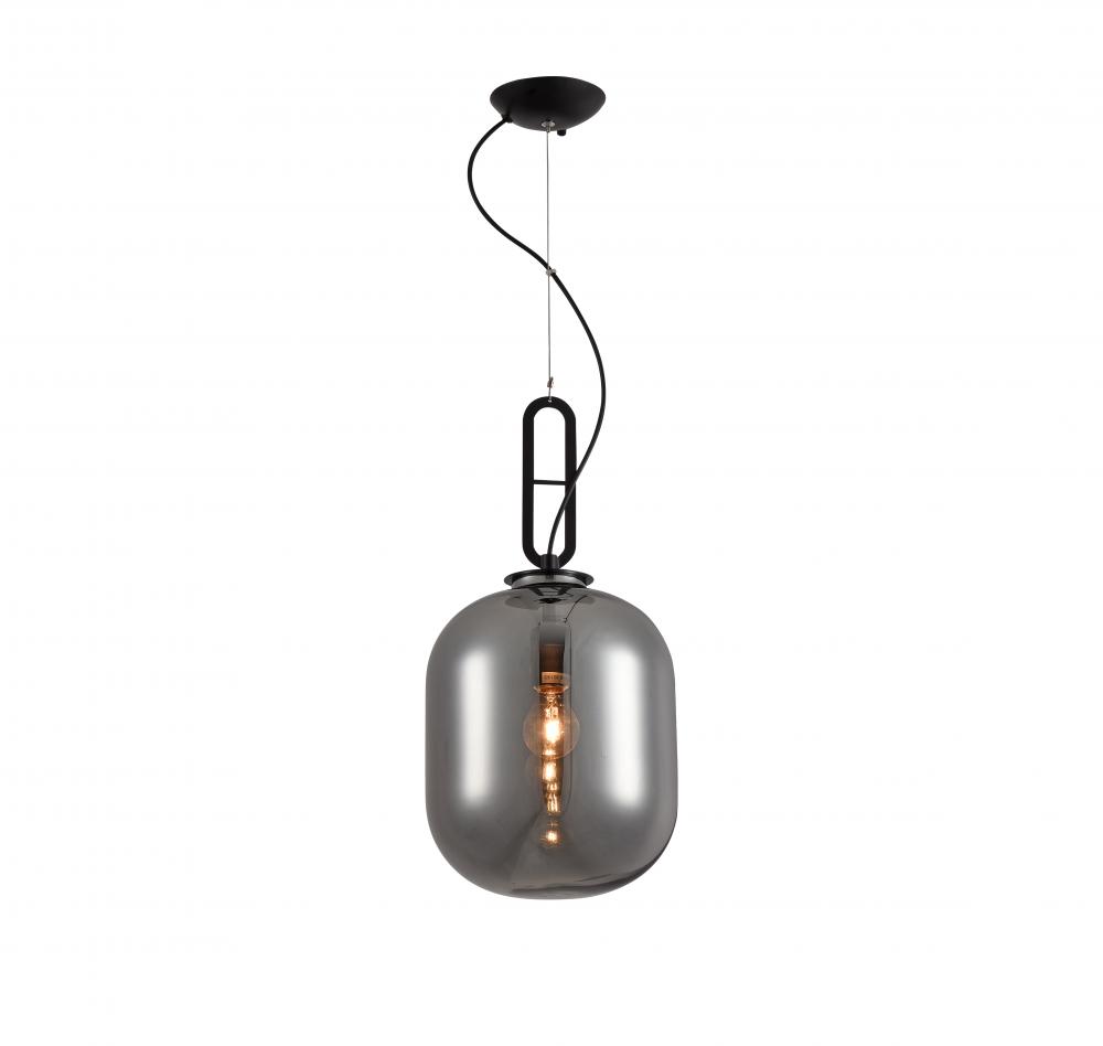 Matte Black Single Pendant Lighting