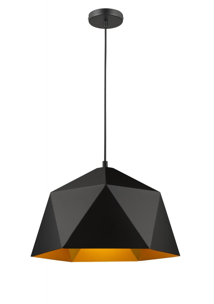 Black Single Pendant Lighting