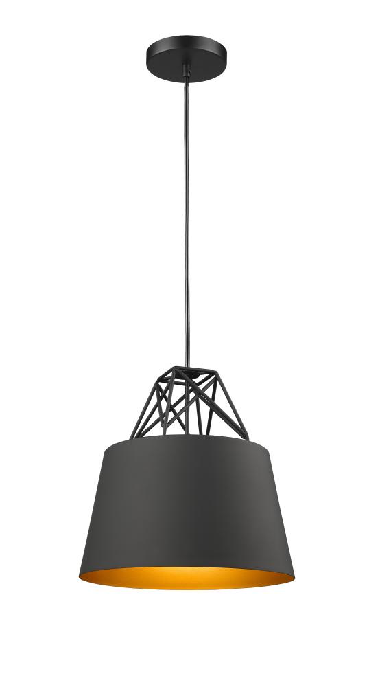 Black Single Pendant Lighting