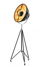 Bethel International Canada DLS74F23B - Metal Floor Lamp